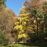 Фото профиля silvestreenelcampo