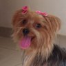 Bela Belinha's profile picture