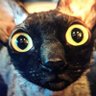 Profilbild von Me