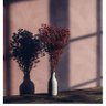refal123 profil fotoğrafı