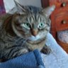 Profilbild von G DIDOU
