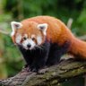 Profilbild von Jonathan