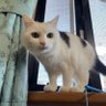 石田　そら　りん's profile picture