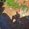 munawobulenzi 的头像