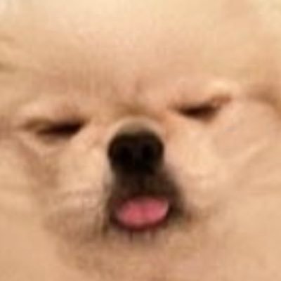 muchozamurai's profile picture