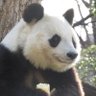 たま's profile picture