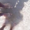 Medijeronlento profil fotoğrafı