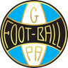 Acervo Grêmio FBPA 's profile picture