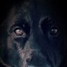 Profilbild von TyphooN