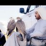 Desert lover 的头像