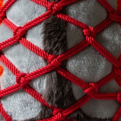 SilverKin37's profile picture