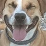 cele profil fotoğrafı