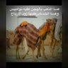 فالح بن شويشان السبيعي's profile picture