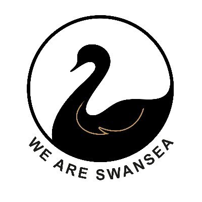 weareswansea's profile picture
