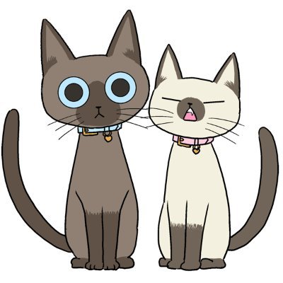 コダマナオコ🐈's profile picture