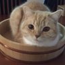 まー 的头像