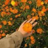 عهد's profile picture