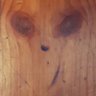 Rabbithole profil fotoğrafı