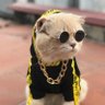 Фото профиля KittyGunzMatter