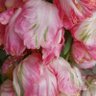 Фото профиля Megiii Meg