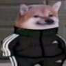 Profilbild von treus
