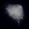 E's profile picture