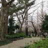 Фото профиля うな (日本を取り戻す)