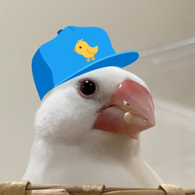 ヒヨコマメ🕊️ピッピコ雑貨店's profile picture