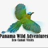 PanamaWildAdventures 的头像