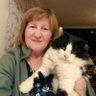 Marina (and Buster🐾)🐈🚣♀️'s profile picture