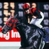 Фото профиля エイシンプレストン