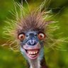 krazyffgg profil fotoğrafı