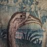 Ornithischia 的头像