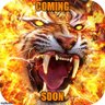 Tiger profil fotoğrafı
