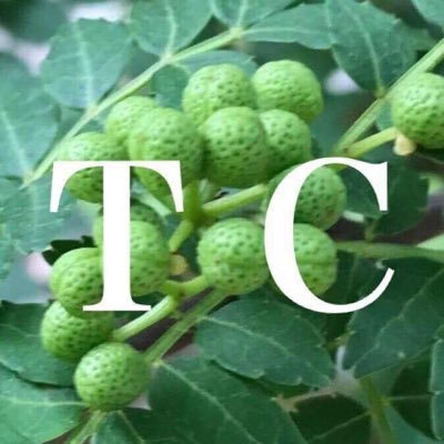 tabayamaclub's profile picture