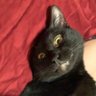 Profilbild von AJ Almost