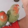 PILI 💖 profil fotoğrafı