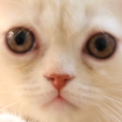 みろろ's profile picture