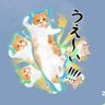 レントゲン's profile picture