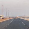 الحياة البرية 的头像