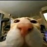Profilbild von GF26