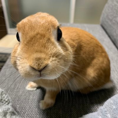 soy0301's profile picture