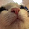 Profilbild von Marjorie