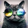 megan newton's profile picture