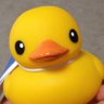 べぐるちゃん🐥.*˚ 的头像