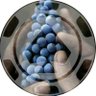 Frederic Billet's profile picture