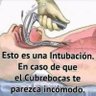 vivir intensamente's profile picture