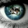 Profilbild von Wolfwide