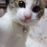 みや profil fotoğrafı