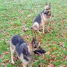 Фото профиля 2GSD'S